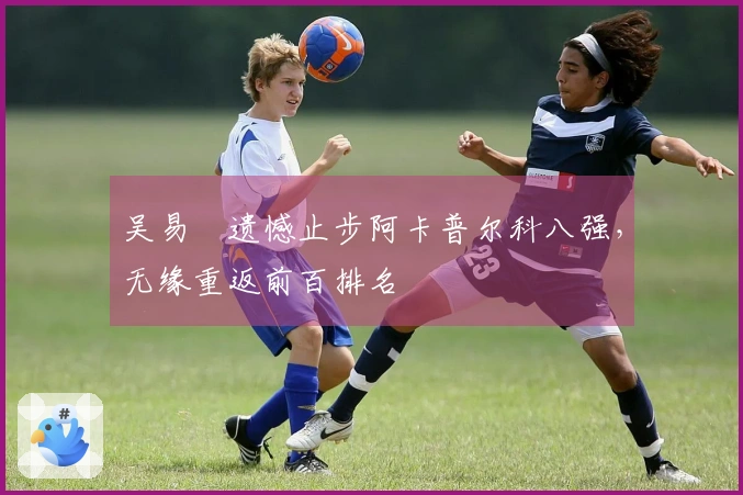 吴易昺遗憾止步阿卡普尔科八强，无缘重返前百排名