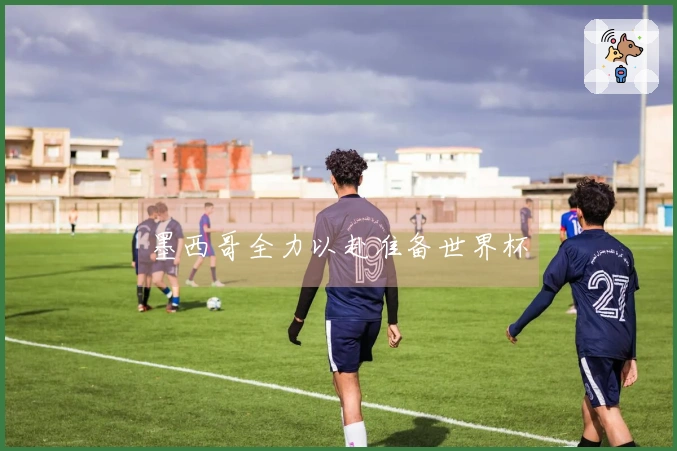 墨西哥全力以赴准备世界杯