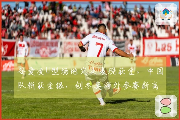 谷爱凌U型场地完美表现获金，中国队斩获金银，创冬奥海外参赛新高！